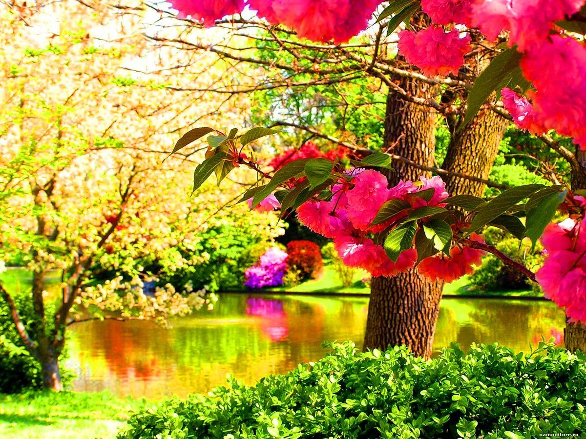 Resort Mja Ashotavan Dış mekan fotoğraf