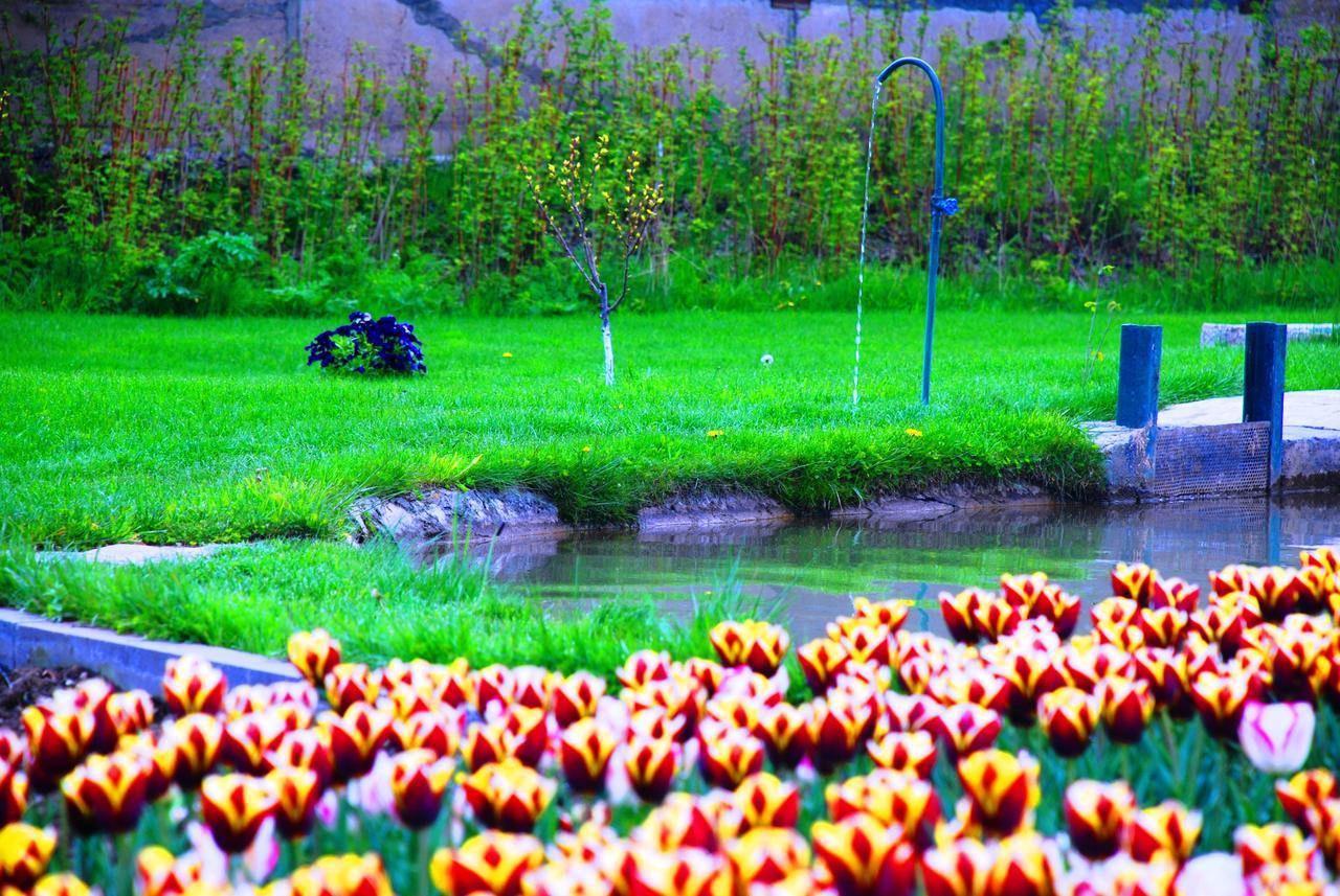 Resort Mja Ashotavan Dış mekan fotoğraf